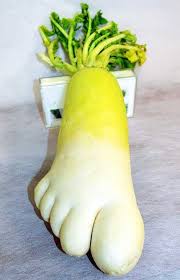 「大根脚」の画像検索結果