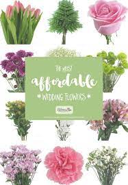 How do you find out what kind (and colors) of flowers are in season during your wedding month? Cheap Wedding Flowers In Lebanon Nekeindesigns