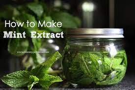 Mint Extract Recipe