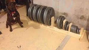 Diy Weight Rack At Home Gym Diy Home Gym Weight Rack