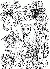 Free printable owl coloring pages for adults and teens. Free Printable Owl Pictures Coloring Home
