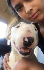 Oh my goodness ⛈️ Are you all home safe? 🧶