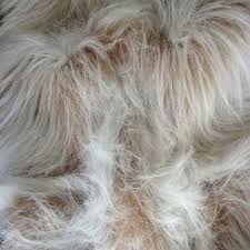 Hailing from leeds, west yorkshire. Long Pile Frost Camel Fur Fabric 60 150cm Wide Plain