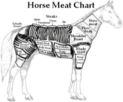 Horse Its Whats For Dinner In 2019 Moose Meat Horse