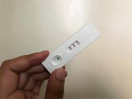 Image result for Pregnancy Test