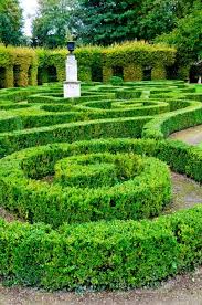 48 Mind Boggling Hedge Maze Garden Labyrinth Designs Pictures Labyrinth Garden Garden Hedges Magical Garden