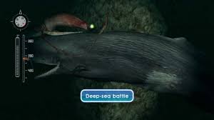 Endless ocean is not that kind of videogame. Let S Play Endless Ocean Blue World Episode 29 Zahab Region Depths Youtube