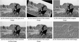 If the minimum of these four differences is superior to a threshold, an interest point is detected. A Novel Signature Based On The Combination Of Global And Local Signatures For Image Copy Detection Zhou 2014 Security And Communication Networks Wiley Online Library