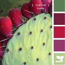 Read on to learn about the many ways you can use it can be applied topically to reduce swelling outside of the body. 210 Flora Cactus Ideas Cactus Plants Planting Succulents