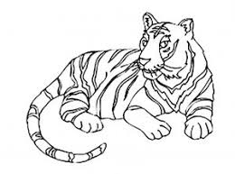 Discover our coloring pages of tigers to print and color for free ! Tigers Free Printable Coloring Pages For Kids