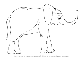 Zebra angel baby cartoon copyspace in vector format very easy to edit. Learn How To Draw A Baby Elephant Zoo Animals Step By Step Drawing Tutorials