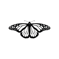 Embalming butterflies on the body signifies success, prosperity and prestige in many cultures in the. Pin On Tatuagens