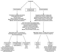 flowchart of leukemia types hematology bone marrow