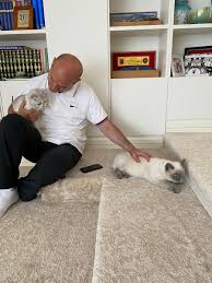 Süleyman soylu, twitter paylaşımında lgbt sapkınları ifadesini kullandı. Suleyman Soylu Maske Mesafe Temizlik On Twitter Findik Ve Muazzam Aramizda Kalsin Muazzam Hamile Dunya Kediler Gunu