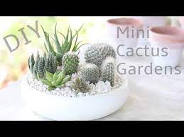 Types of indoor cactus | how to make succulent terrarium. Diy Mini Cactus Gardens Youtube