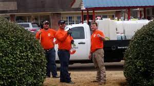 Последние твиты от lawn&pest solutions (@lawnandpest). Lawn Pest Solutions 650 Carter Ave New Albany Ms Landscaping Mapquest