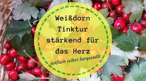 Weissdorn Tinktur Furs Herz Herstellen Strahlemensch Weissdorn Tinktur Dornen