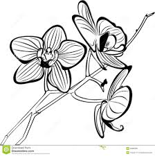 Tropical Flowers Coloring Pages Az Coloring Pages Dipinti
