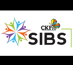A person's relatives considered as a group; Caribbean Kids And Families Therapy Organization Our Programs Sibs