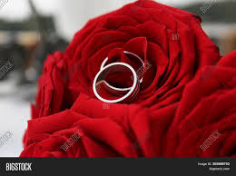 Looking for wedding flower ideas? Silver Wedding Rings Image Photo Free Trial Bigstock