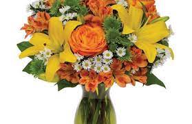 Check spelling or type a new query. Driscoll S Florist 8 Mill Plain Rd Ste 4 Danbury Ct 06811 Yp Com