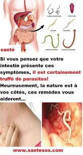 Si Vous Pensez Que Votre Intestin Presente Ces Symptomes Il Est Certainement Truffe De Parasites Heureusement La Nature Est A Vos Cotes Ces Stress Parasite