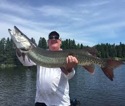 Dnr study of lake of the woods/mcclish. Fishing Lake Of The Woods All You Need To Know