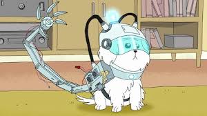 Rick and morty العرض الأول : Rick And Morty Netflix