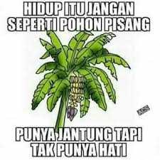 Cinta adalah pengorbanan, tapi kalau pengorbanan mulu sih namanya penderitaan. 2. Pin Oleh Sisca Rachmawati Di Alhamdulillah Tiada Batas Kutipan Pelajaran Hidup Kutipan Pelajaran Lucu