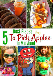 The 5 Best Places To Pick Apples In Maryland In 2020 Kid Friendly Trips Fall Family Fun Maryland