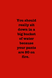 Liar liar pants on fire quotes. You Call Me A Liar Quotes Quotesgram