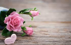 See more ideas about beautiful flowers, flower wallpaper, heart wallpaper. Wallpaper Love Flowers Roses Love Pink Buds Heart Pink Flowers Beautiful Romantic Roses Images For Desktop Section Nastroeniya Download