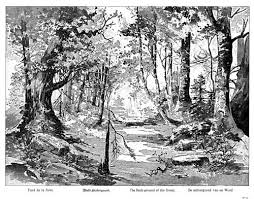 Wald Hintergrund Nr 10