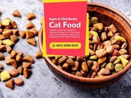 Pusat Makanan Kucing Makanan Kucing Makanan Diet