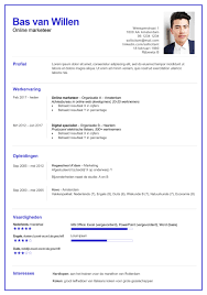Hoe Maak Je Een Cv Als Online Marketeer Gratis Voorbeeld