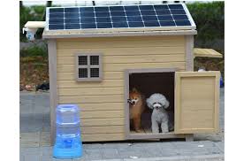 They'll take anywhere from half a day to a. Go Green With Solar Heat For Your Dog House Petguide