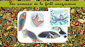 Il y a beaucoup d'oiseaux colorés. Lecon Maternelle Les Animaux De La Foret Amazonienne Youtube