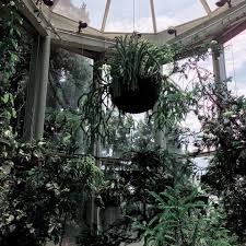 Shared by o h h o n e y. ð™¨ð™¤ð™›ð™© ð™œð™§ð™šð™šð™£ ð™–ð™šð™¨ð™©ð™ð™šð™©ð™žð™˜ Dark Green Aesthetic Aesthetic Forest Forest Aesthetic
