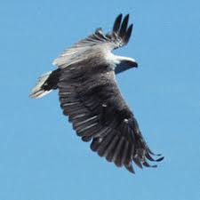 We want to see the world through your eyes. Forums Shutterstock Forum