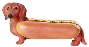 Wiener is a world leader in the design & production of mainframes crates & power supplies for industrial applications & scientific research. Amazon Com Pacific Giftware Adorable Hot Dog Doxy Collectible Wiener Dog Dachshund Figurine Home Kitchen