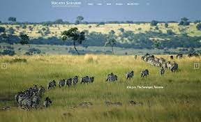 79 tour operators in tanzania with 493 reviews. Best Safari Companies Top Ten Reviews And Ideas For Your Safari