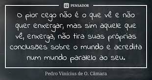 O Pior Cego Nao E O Que Ve E Nao Pedro Vinicius De O