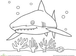 Sneaky Shark Worksheet Education Com Shark Coloring Pages Coloring Pages Preschool Coloring Pages