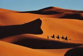 All merzouga activities available every day. Desert Tour Merzouga Tours