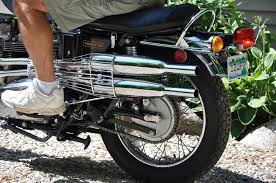 Image result for Honeysuckle 1972 Triumph