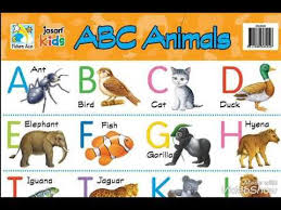 Image Result For Abcd Chart Image Elephant Birds Ants