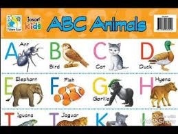 image result for abcd chart image elephant birds ants