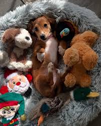 Robyn (@robyn.duty) • Instagram photos and videos