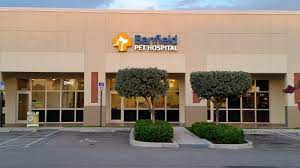 Banfield Pet Hospital Near Me Pet S Gallery