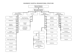 Image Result For Health Care Facility Organizational Chart